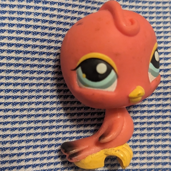 Birds 975, 1995, 2463 RARE, 497, 976 - Picture 10 of 10